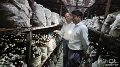 गरखा: जिलाधिकारी ने गड़खा प्रखंड के फुलवरिया में मशरुम उत्पादन फार्म का किया भ्रमण