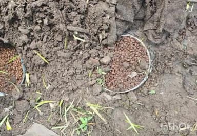 खातेगांव: आबकारी विभाग ने नेमावर में अवैध शराब को लेकर 5 प्रकरण किए दर्ज, लगभग ₹3 लाख 83 हजार की सामग्री जब्त