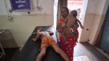 पूर्णिया पूर्व: बनकोरा गांव में मधुमक्खियों के काटने से एक ही परिवार के चार लोग हुए घायल GMCH में भर्ती