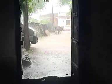 jassu ji ka kheda me jardar barish