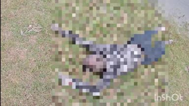 मड़िहान: संत नगर थाना क्षेत्र के सिरसी बांध में उतराया मिला लावारिस सव सिनाख्त कराने में जुटी पुलिस