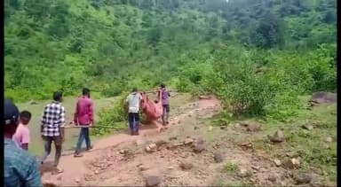 शाहनगर: ग्राम पंचायत महगवा बारहो में महिला को सांप के डसने पर मौत होजाने पर परिजन कंधों पर ले गए अस्पताल