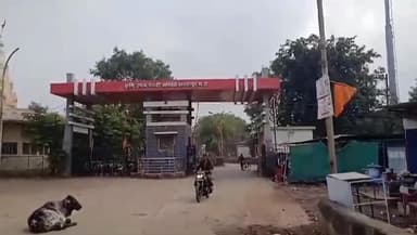 शाजापुर: कृषि उपज मंडी शाजापुर में लहसुन की खरीदी रही बंद, चाइना के लहसुन की आवक को लेकर किसान और व्यापारियों में नाराज़गी