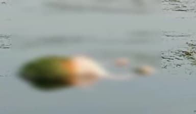 लखीमपुर: ग्राम पंचायत मिदनिया गढ़ी के तालाब में उतराता मिला एक व्यक्ति का शव, मौके पर पहुंची पुलिस ने शव पोस्टमार्टम हाउस भेजा