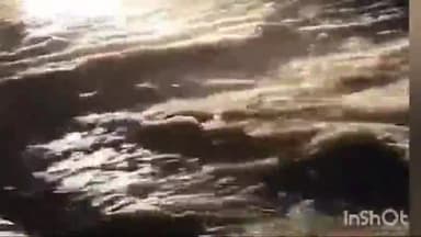 हटा: हटा में भारी बारिश से खचना नाका पर जलभराव, घरों में घुसा पानी; पुलिस स्थिति का जायजा लेने मौके पर पहुंची