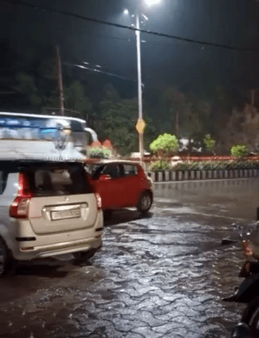 टीकमगढ़: जिले में 24 घंटे में 2.8 इंच हुई बारिश, पांच तहसीलों में औसत बारिश का कोटा हुआ पूरा