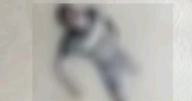 सुल्तानपुर: कुड़वार क्षेत्र के तिरछे निरसहिया गांव में नदी में उतराता मिला लापता युवक का शव, सूचना पर पहुंची पुलिस