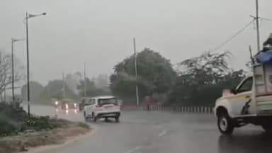 कानपुर: कानपुर में बारिश का येलो अलर्ट,धान की फसल को होएगा फायदा