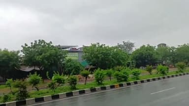 बस्सी: बस्सी क्षेत्र के मोहनपुरा आगरा रोड पर टोल प्रशासन के कर्मचारियों के द्वारा आवारा पशुओं को सड़क से हटाते हुए नजर आए