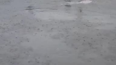 हाथरस: हाथरस डूबा पानी से 24 घंटे से ज्यादा की तेज बारिश ने जनजीवन किया अस्त-व्यस्त सड़क से घरों में  में अंदर तक घुसा पानी