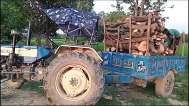 रायबरेली: हरचंदपुर थाना क्षेत्र अंतर्गत हरे पेड़ों की कटान तथा लोडिंग के वीडियो वायरल, क्षेत्रीय लोगों में आक्रोश