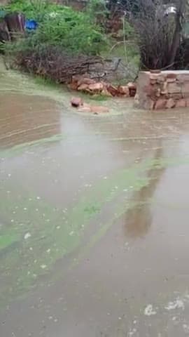 Gaon Chandi Mein Pani Se dubne Ki Sambhavna Ghar Se Nikal Nahin rahi hai public Itna Pani ho chuka hai