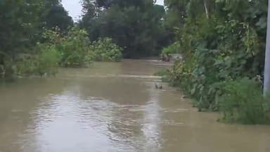 रामपुर: प्रानपुर समेत सैकड़ों  गाँव के लोगों का मुख्यालय से सम्पर्क कटा,  लोग बेहाल ग्राउंड  जीरो पर देखिए सुनिए लोगों की खुबानी