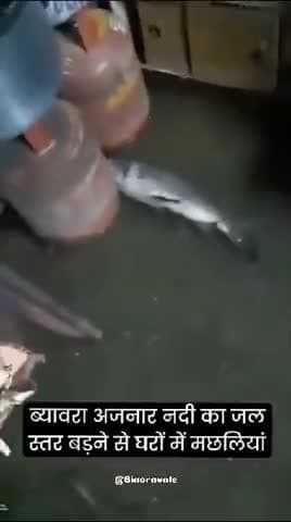 🙏🙏 ब्यावर में नदी का पानी घुसा घर में पानी के साथ आई बड़ी-बड़ी मछलियां🙏🙏