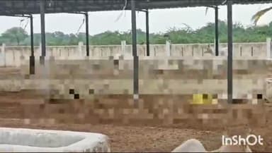 रायबरेली: बरऊआ ग्राम पंचायत की गौशाला में संरक्षित पशुओं की हो रही दुर्दशा को लेकर,ग्रामीणों ने डीएम से की शिकायत