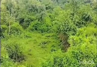 खातेगांव: ग्राम गनोरा में तेंदुए को ढूंढने के लिए उज्जैन से आए रेस्क्यू दल ने ट्रैप कैमरे लगाए