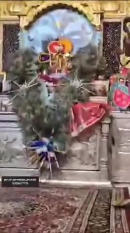 *मैवाङ के प्रसिद्ध #धाम* 
*_#सैठो कै सैठ भगवान श्री सावॅलिया सैठ जी की जय हो_* 🌹  
*🙏🏻#राजाधिराज के #श्रृंगार #दर्शन