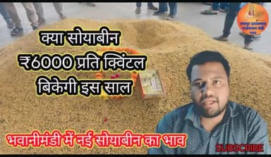 आज का भवानीमंडी नई सोयाबीन मंडीभाव। #soybean