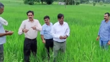 पवई: कलेक्टर के निर्देश पर संयुक्त दल द्वारा पन्ना में किया गया फसलों का निरीक्षण