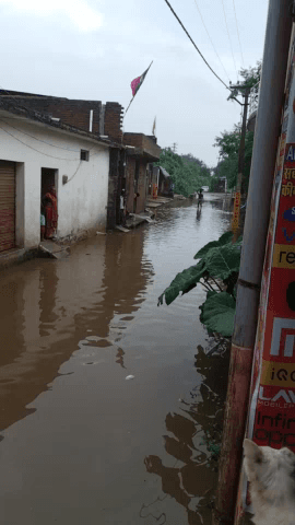 Kuthond Mihona road par laga panni ka ambar #kuthond #jalaun somplaza ke pass