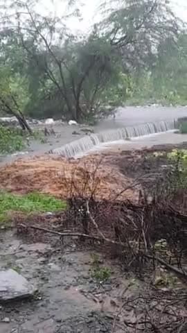 भारी बारिश के चलते हुए जो कचरा नदी में जमा हुआ था उसकी वजह से सिरसा नदी ने विकराल रूप ले लिया है #सिरसा नदी #जसवंतनगर