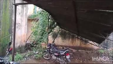 शिवपुरी नगर: जिला अस्पताल के पार्किंग स्टैंड की टीन शेड पर गिरा पेड़, बड़ा हादसा टला