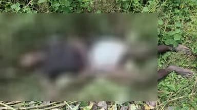 लंभुआ: रहायकपुर गांव के समीप रेलवे लाइन किनारे मिला अज्ञात व्यक्ति का शव,शिनाख्त में जुटी पुलिस