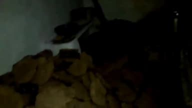 बीना: ग्राम नौगांव में अज्ञात कारणों के चलते घर में लगी आग, ट्यूबवेल की मदद से पाया गया आग पर काबू