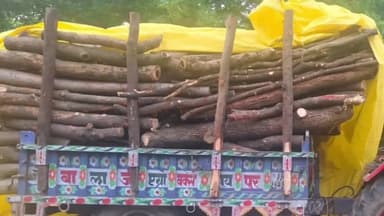 सुनेल: सांगरिया के पास अवैध पंचमेल गीली लकड़ी से भरी ट्रैक्टर-ट्रॉली हुई ज़ब्त, वन विभाग की टीम ने ड्राइवर को किया गिरफ्तार