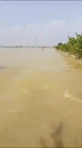 भागलपुर इस्माइलपुर ग्राम विनोबा टोला में गंगा नदी का कट ऑ जारी है बजरंगबली मंदिर

पर्वत लोकेशन