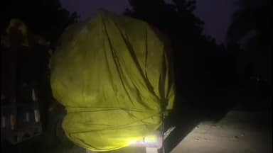 सुनेल: उन्हेल के पास अवैध लकड़ियों से भरा ट्रैक्टर-ट्रॉली ज़ब्त, चालक गिरफ्तार