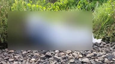चनपटिया: कुड़िया कोठी रेलवे ढाला के समीप ट्रेन से गिरकर एक वृद्ध की हुई मौत, पूर्वी चंपारण का रहने वाला है मृतक
