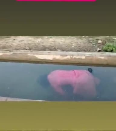 हमीरपुर प्रतापगढ़ थानागाजी