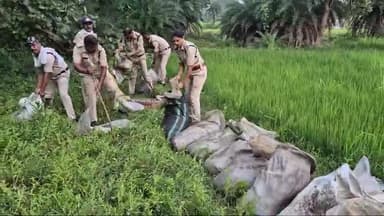 #आबकारी_विभाग सिवनी के दल द्वारा अवैध कच्ची शराब के अड्डे पर छापामार कार्यवाही कर किए गए नष्ट