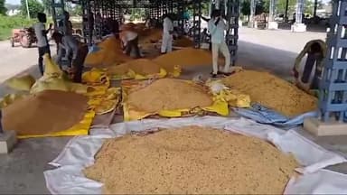 शाजापुर: शाजापुर कृषि उपज मंडी में सोयाबीन, लहसुन और प्याज के दाम में गिरावट, गेंहू के दाम में हुई वृद्धि