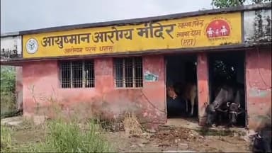 जलेसर: आयुष्मान आरोग्य मंदिर स्वास्थ्य उपकेंद्र अवागढ़ देहात में डॉक्टर की जगह बंधे जानवरों का वीडियो आया सामने