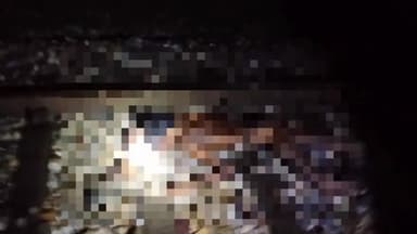 ओबरा: सलखन टोला लालगंज के पास ट्रेन की चपेट में आकर 30 वर्षीय युवक की मौत, पुलिस ने शव को भेजा पोस्टमार्टम हाउस