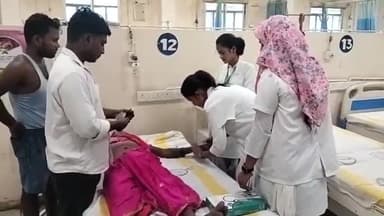 बिहार: इमामगंज गांव में तीन लोगों को मधुमक्खियों ने काटा, एक महिला की हालत गंभीर