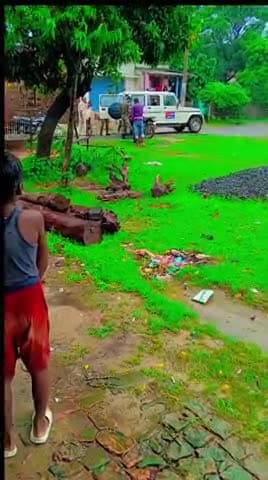 ham Bihari up se daru﻿@please follow share