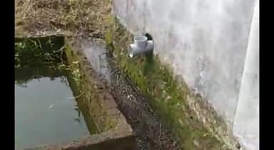 शाहनगर: मुख्य कार्यपालन अधिकारी जनपद पंचायत शाहनगर ने ग्राम पंचायत पोड़ीकला की सनकुटी पिपरिया आंगनबाड़ी भवन की जांच के दिए आदेश