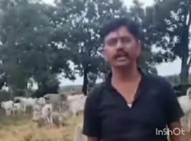 चितरंगी: समाजसेवी प्रेम सिंह भाटी ने नगरपरिषद सरई के ग्राम हट्टा में गौशाला की शुरुआत की, गौशालाओं को बढ़ावा देने का है उद्देश्य