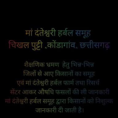 काली मिर्च एवं अन्य जैविक खेती औषधि पौधों के साथ
MDHP, CHIKHALPUTI, KONDAGAON