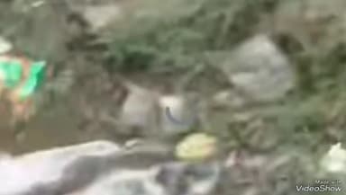 मिर्ज़ापुर: बैयाडाड़ गांव निवासी युवक को पट्टीदार ने सरैया गांव के पास विवाद के दौरान चाकू मारा, सोशल मीडिया पर वीडियो हुआ वायरल