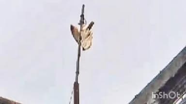 शाजापुर: लक्ष्मी नगर में तांत्रिक क्रिया के लिए घर की छत पर बांध दिया उल्लू, वन विभाग ने किया प्रकरण दर्ज, न्यायालय ने भेजा जेल