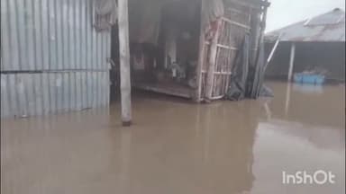 केिशनपुर: किशनपुर प्रखंड क्षेत्र के कोसी तटबंध के अंदर बसे लोगों का जीना हुआ मुश्किल