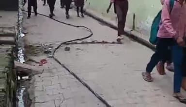 हाथरस: गांव कोटा में गली में टूटकर गिरा बिजली का तार, स्कूली बच्चे रास्ते से निकलने को मजबूर, बिजली विभाग की लापरवाही सामने आई