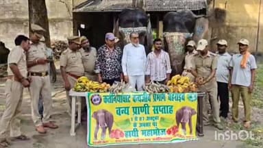 मिहींपुरवा: राजकीय हथिनी जयमाला और चम्पाकली को महाभोज कराकर कतर्नियाघाट में वन्य जीव प्राणी सप्ताह की शुरुआत हुई