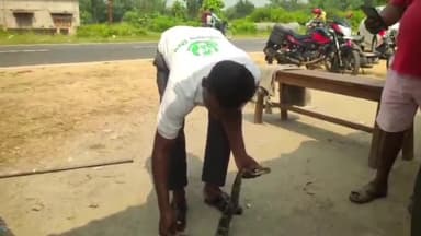 विष्णुगढ़: विष्णुगढ़ के कोनार डैम में मछुआरों के जाल में फंसा विशाल अजगर सांप, सर्पमित्र ने किया रेस्क्यू