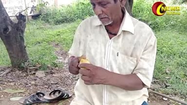 साल में ये फल मिलता है एक बार । दाम 200₹/- क्या आप ने खाया...? #rajendrasahu #news30live #bilaspur