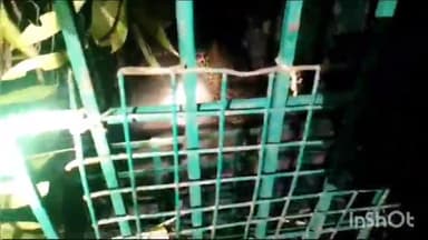 मिहींपुरवा: अयोध्यापुरवा में अधेड़ महिला और बच्ची पर जानलेवा हमला करने वाला तेंदुआ पिंजड़े में कैद